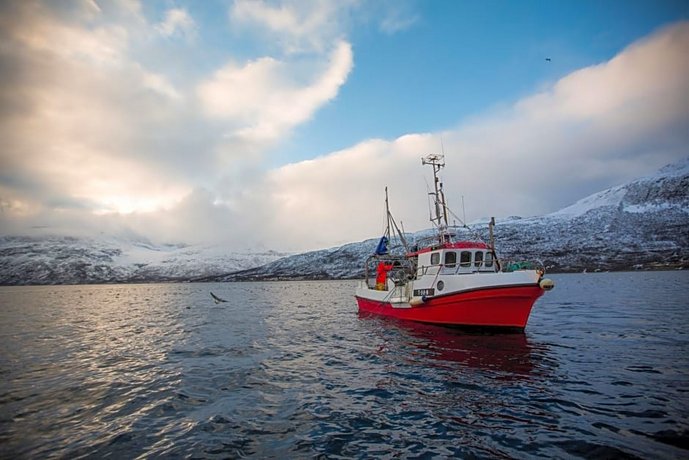 Arctic Panorama Lodge