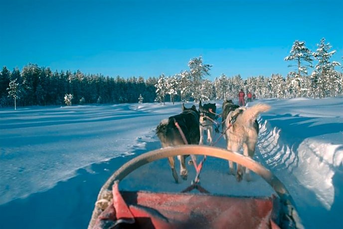 Arctic Panorama Lodge
