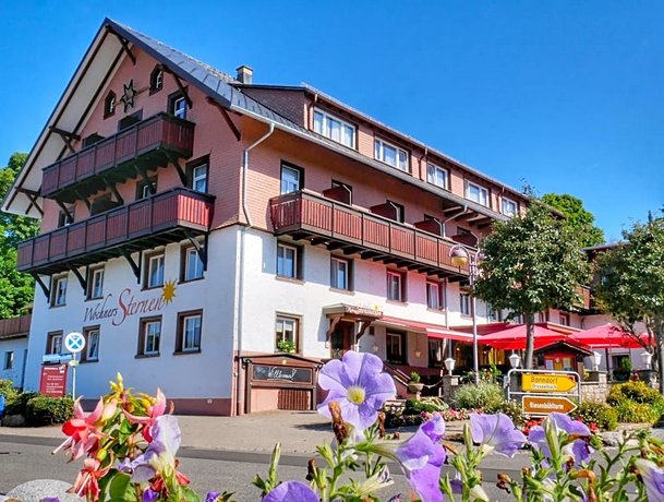 Wochner's Hotel-Sternen 슐루흐텐슈타이크 Germany thumbnail