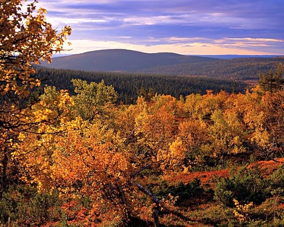 Lapland Hotels Hetta
