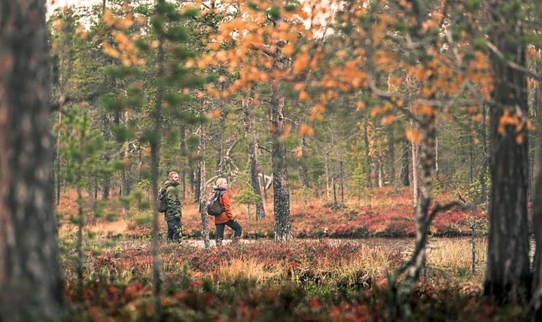 Lapland Hotels Hetta
