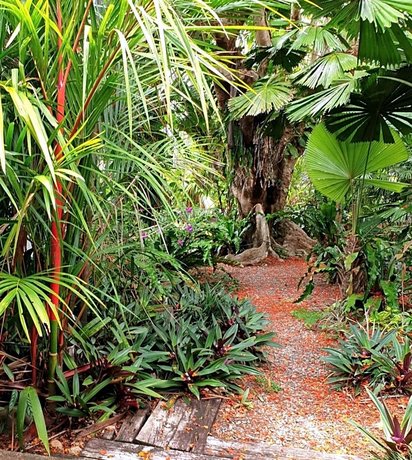 Photo: Rainforest Castaways Resort and Spa