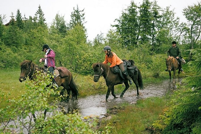 Lifjell-Tunet