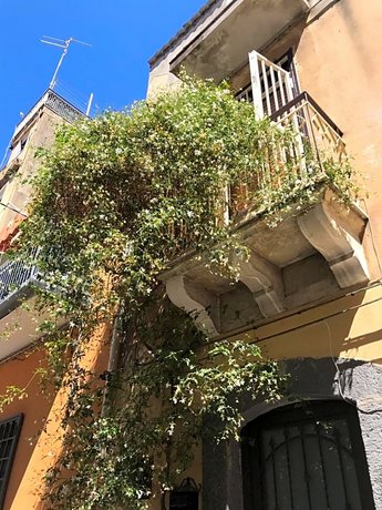 'Marcello's Home'