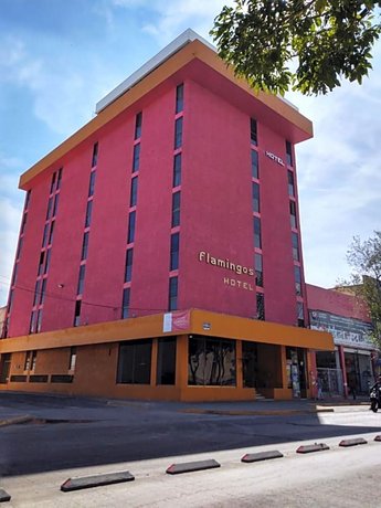 Hotel Flamingos 라 비블리오테카 푸블리카 델 에스타도 Mexico thumbnail