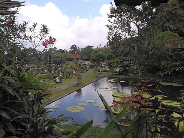 Dhangin Taman