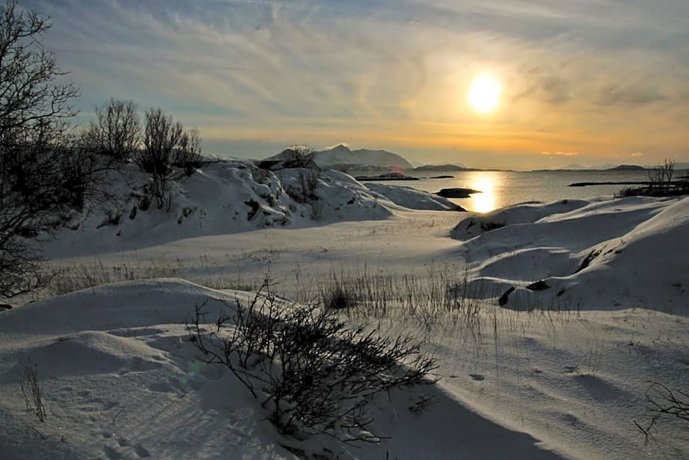 Superior Cottage with Sea View in Senja