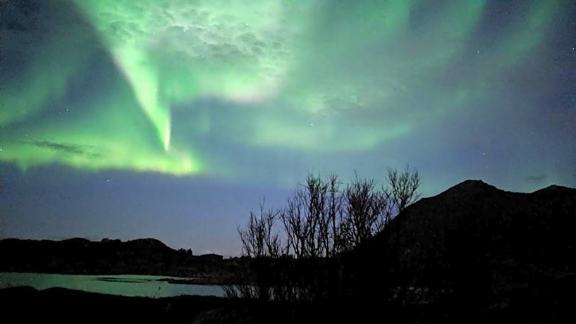 Superior Cottage with Sea View in Senja