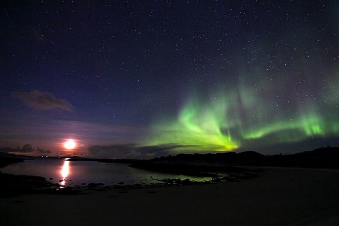 Superior Cottage with Sea View in Senja