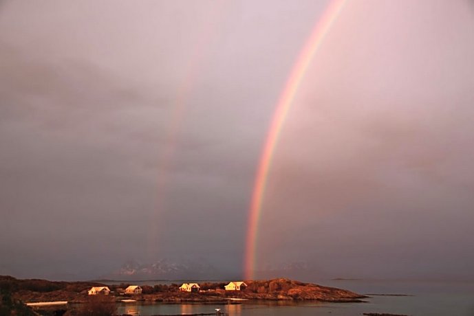 Superior Cottage with Sea View in Senja