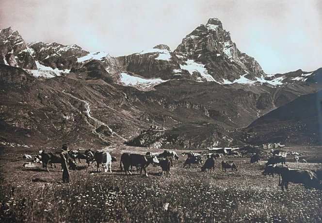 Hotel Meuble' Joli