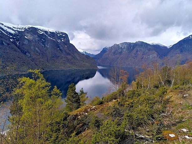 Flåm Apartments
