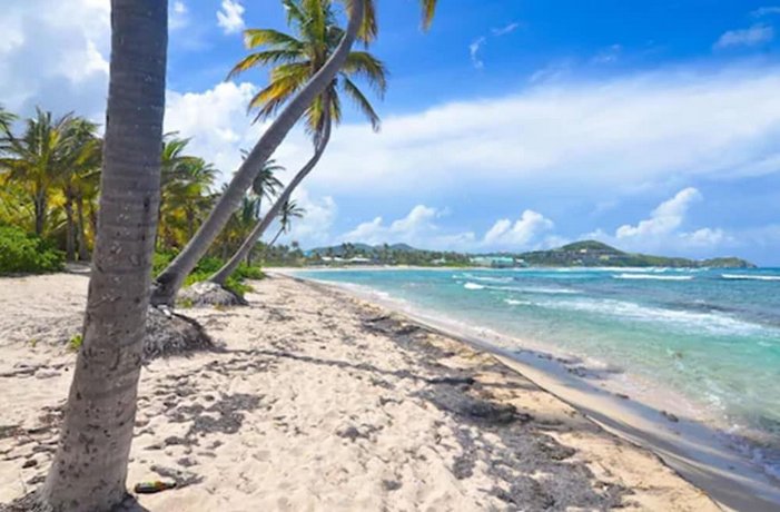 The Palms at Pelican Cove Saint Croix Virgin Islands, U.S. thumbnail