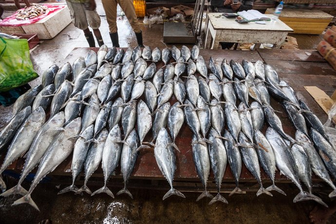 OYO 317 Choy's Waterfront Residence Fish Market Sri Lanka thumbnail