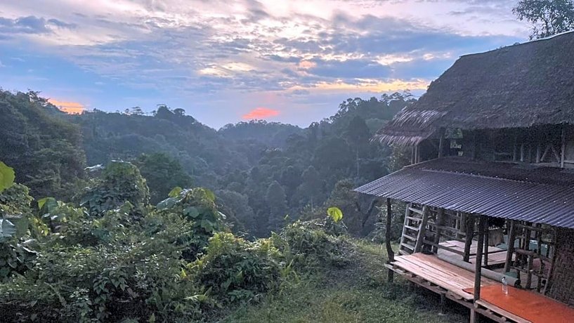 Lovely Jungle Lodge & treking