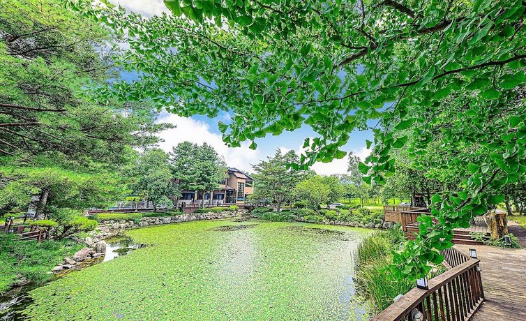 May Garden Namdaecheon Stream South Korea thumbnail