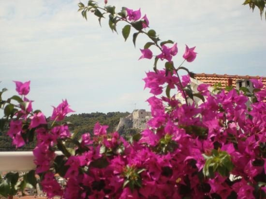 Apartments Pharos Hvar Town