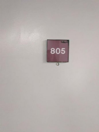 The Palace 805