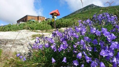 Horska Chata pod Soliskom Mieguszowiecki Szczyt Wielki Slovakia thumbnail