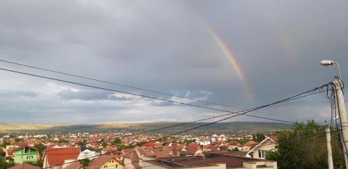 Green House Alba Iulia