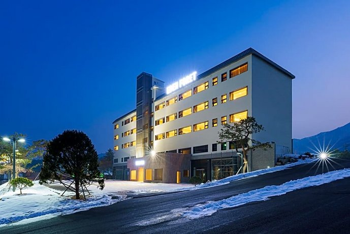 사조리조트 스키장지역 호텔 목록입니다.