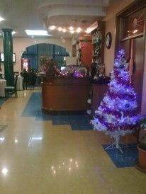 Hotel Bella Vista Durres
