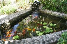 Enchanted Waters Tobago 