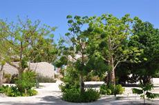 Zanzibar White Sand Luxury Villas & Spa - Relais & Chateaux 