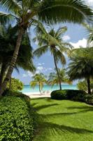 Caribbean Club Boutique Hotel Grand Cayman 