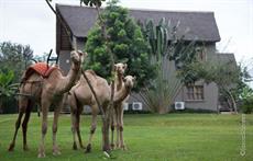 Weru Weru River Lodge 