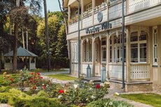 Wooden Villa 