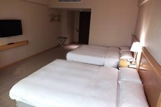 Chiayi Maison de Chine Hotel 