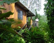 Cooktown accommodation: Milkwood Lodge Cooktown