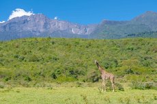 Hillside Retreat - Africa Amini Life 