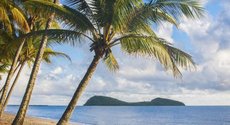 Cairns accommodation: Eden Oceans Edge Palm Cove