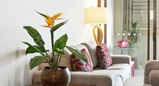 Cairns accommodation: Temple 304 Modern Spacious Palm Cove Resort