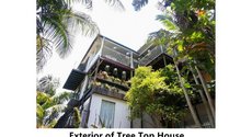 Gold Coast accommodation: Tree Top House