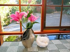 Hobart accommodation: Possums Spa Apartments