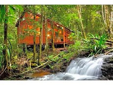 Gold Coast accommodation: The Mouses House Rainforest Retreat