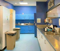 Sydney accommodation: Boardrider Backpackers and Budget Motel