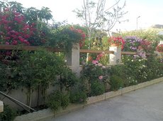 Villa delle rose Bova Marina