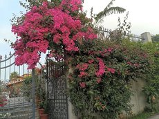 Villa delle rose Bova Marina
