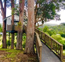 Gold Coast accommodation: Austinvilla Estate