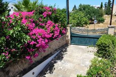 Villa Artemis Aegina
