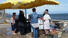 La Plage en Normandie