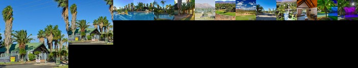 Desert Palms Alice Springs