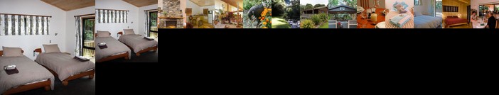 Tangiaro Kiwi Retreat