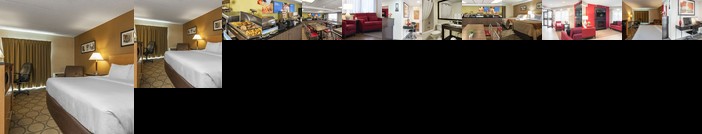 Comfort Inn Fredericton