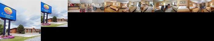 Comfort Inn Highway 401