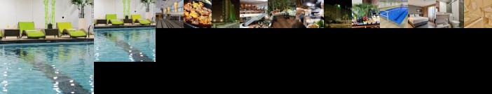 Holiday Inn Parque Anhembi